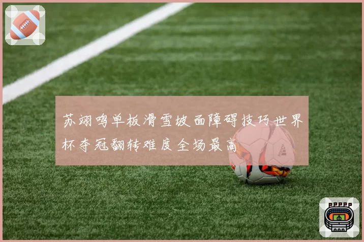 苏翊鸣单板滑雪坡面障碍技巧世界杯夺冠翻转难度全场最高